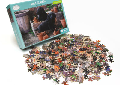 Puzzles bill and ben seytek printing box