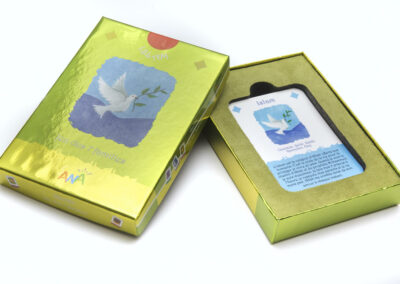 cards case light green printing Seytek